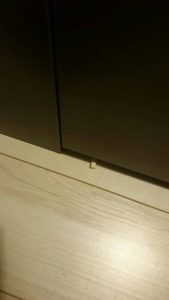 まさかこれは…？　そう、吸いがら。