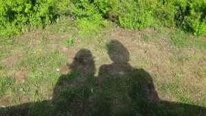 3月の読書メーター振り返り