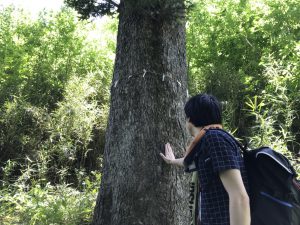 3か月毎日投稿失敗。新3か月毎日投稿チャレンジ始動