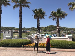 プロテイン飲むだけダイエット経過報告【2ヶ月目】