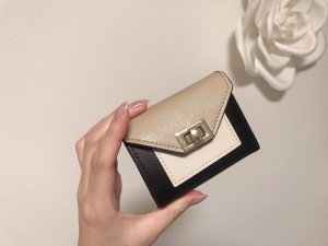 わたしはお財布ちっちゃい族。